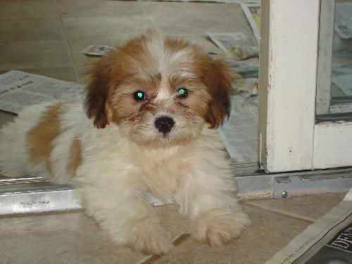 Samwise