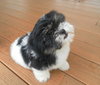 Clyde