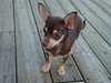 Howie