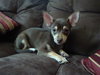 Howie