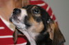 Digby