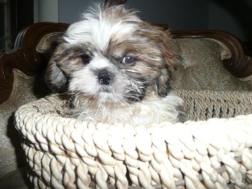 Billy