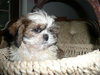 Billy