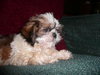 Billy