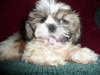 Billy