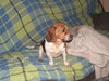 Lucy