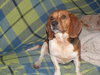 Lucy
