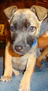 Clyde