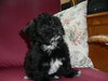 Bonnie Ann