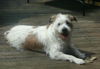 CILLA