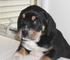Betty Lou