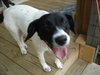 Lucy