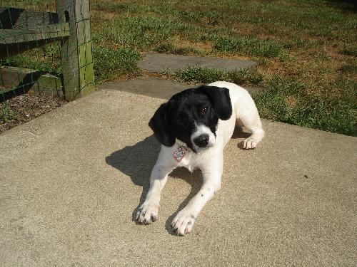 Lucy