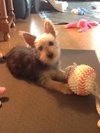 Tucker