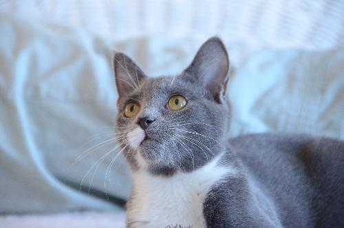 Benny