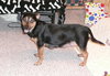 Lucy Lu