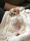 Cooper