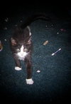 Basil (jk) (adoption pending)