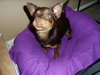 Olivia