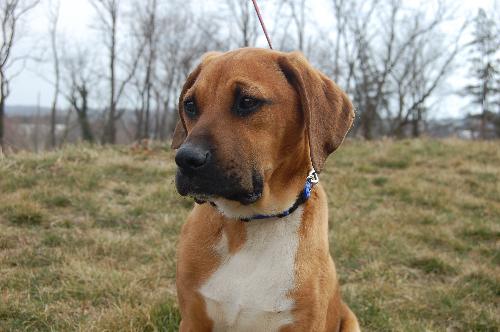 Duke