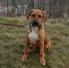 Duke
