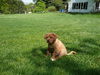 Cheech