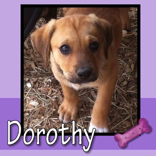 Dorothy