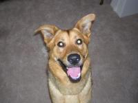 Charley