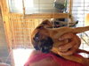 Courtesy Posting (3 Male / 2 Female)