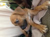 Courtesy Posting (3 Male / 2 Female)