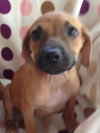 Courtesy Posting (3 Male / 2 Female)
