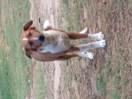 Finley