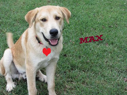Max