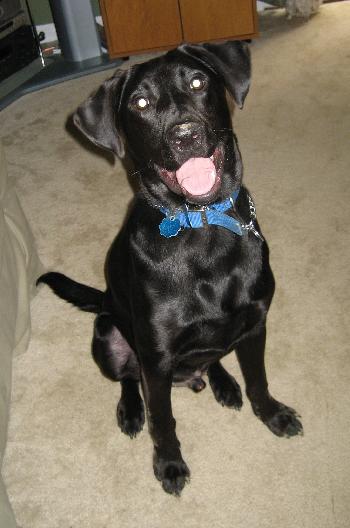 TUCKER