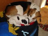 Dottie