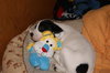 Dottie