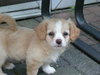Lucy