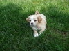 Lucy