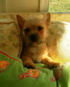 Lucy