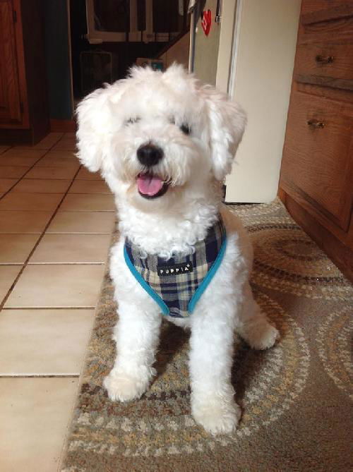 Barkley