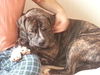 Jake - Courtesy Posting