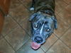 Jake - Courtesy Posting