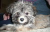 Martie
