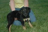 Tucker