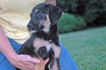 Tucker