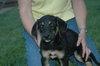 Tucker