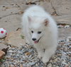 Fritz