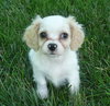Thelma