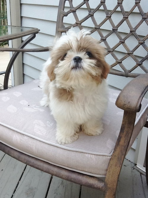 Fiona