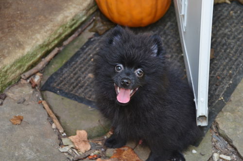 Marco